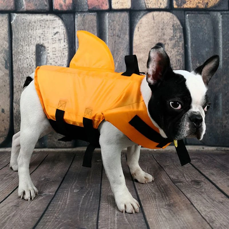 french bulldog shark life jacket