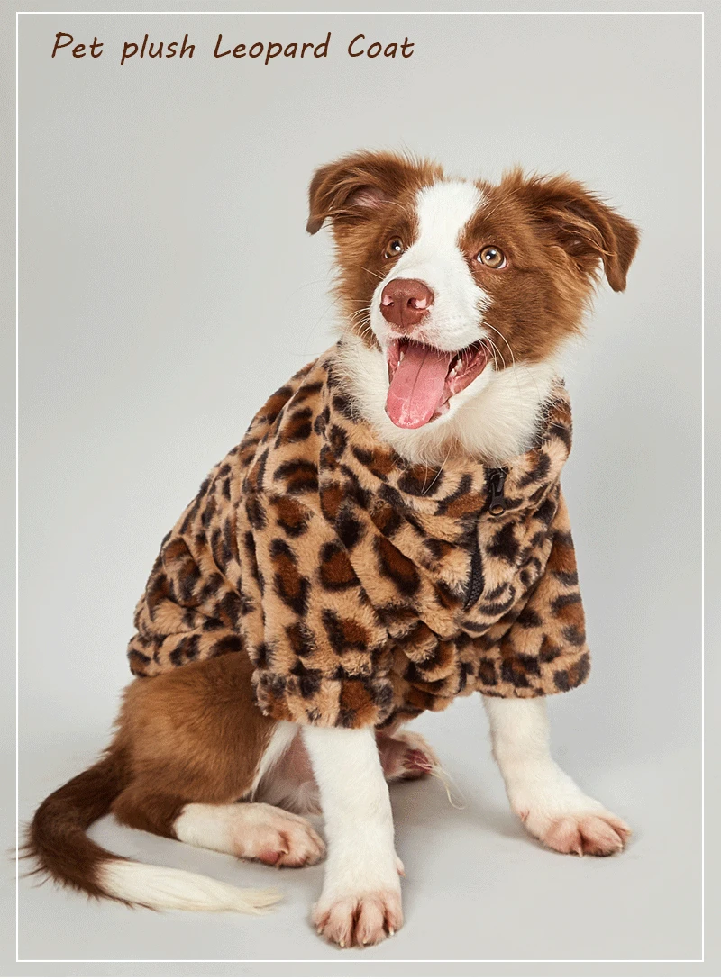 dog winter coat