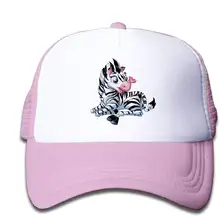 TSDFCMesh Бейсбольная Кепка Snapback шляпы милые Зебра мальчик-девочка, розовый, один размер