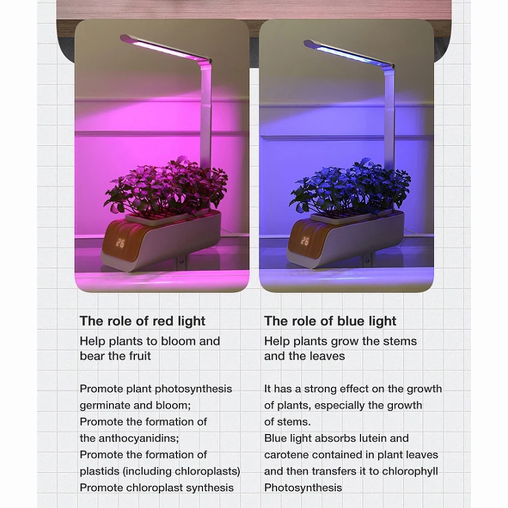 Indoor Herb Garden Starter Kit with Led Grow Light