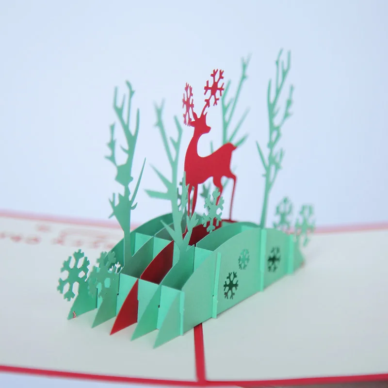 3575720783_281475579