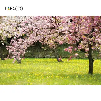 

Laeacco Pink Flowers Tree Park Grassland Portrait Photography Background Vinyl Customize Photographic Backdrops For Photo Studio