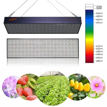 

3600W LED Grow Light Hydroponic Full Spectrum Timing Function For Plant Grow Light LED Grow Light