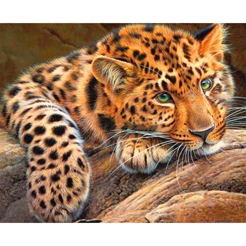 

BAISITE DIY Painting By Numbers Hand Painted Canvas Leopard Modern Wall Picture Art For Living Room Home Decoration OTG6094