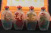 4pc Chinese Inside painted Merlin, bamboo and chrysanthemum glass SNUFF BOTTLE 2