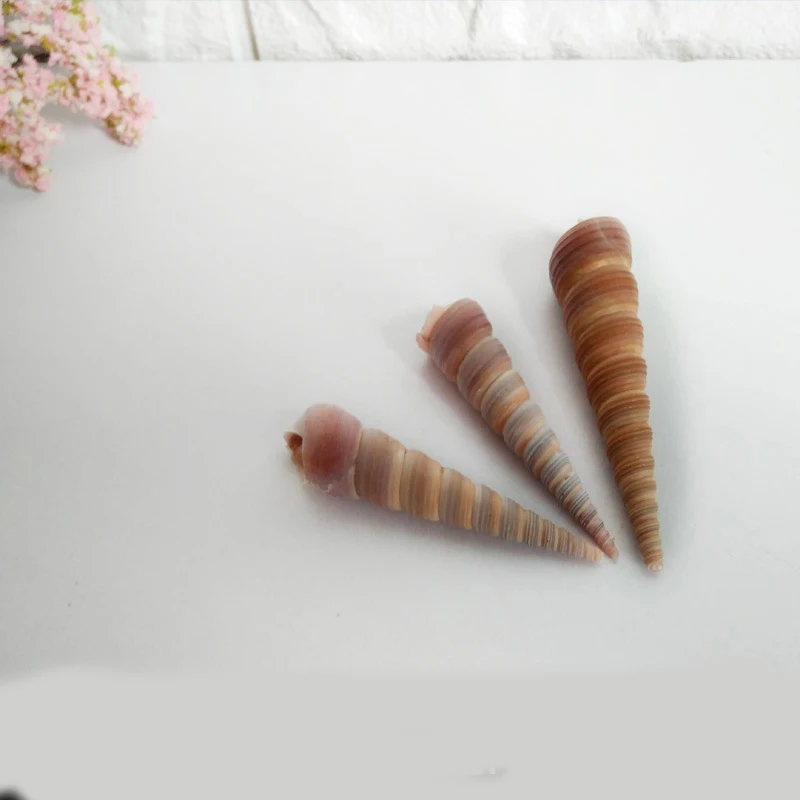 Натуральные раковины, мини-раковины, кукуруза, винт, сделай сам, аквариум, пейзаж, ракушки, морская звезда, Настенный декор, вечерние, пляжные, свадебные украшения