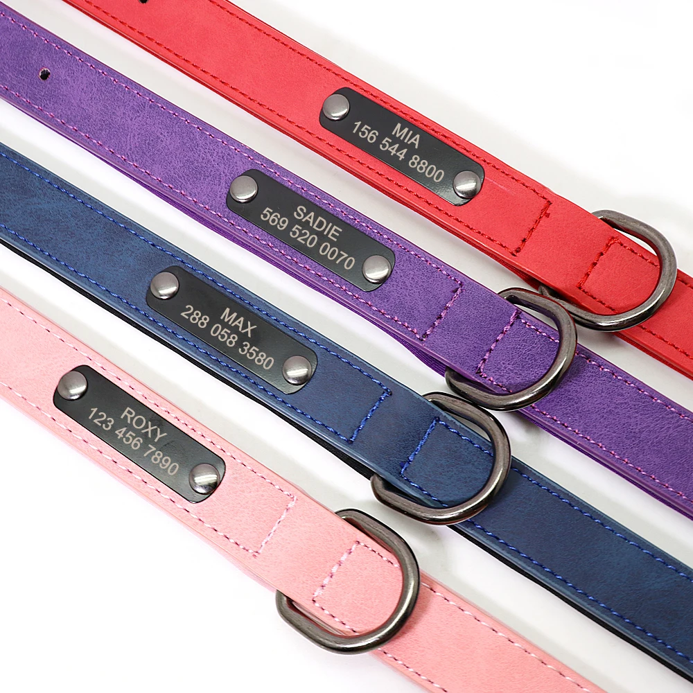 Dog Pet Collar