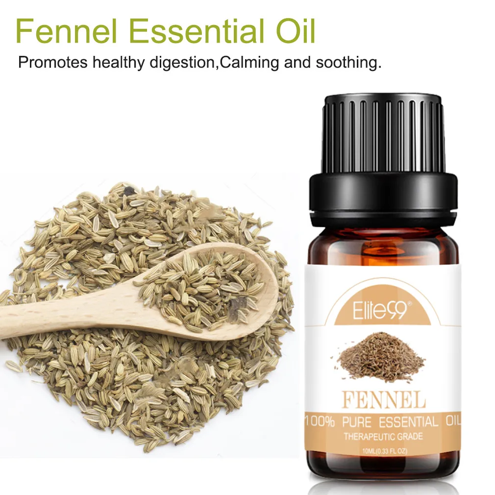 茴香.jpg_.webp 茴香.jpg_.webp