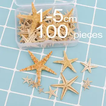 

1 Box Natural Starfish Seashell Beach Craft Natural Sea Stars DIY Beach Wedding Decoration Epoxy Resin Art Crafts1-5cm