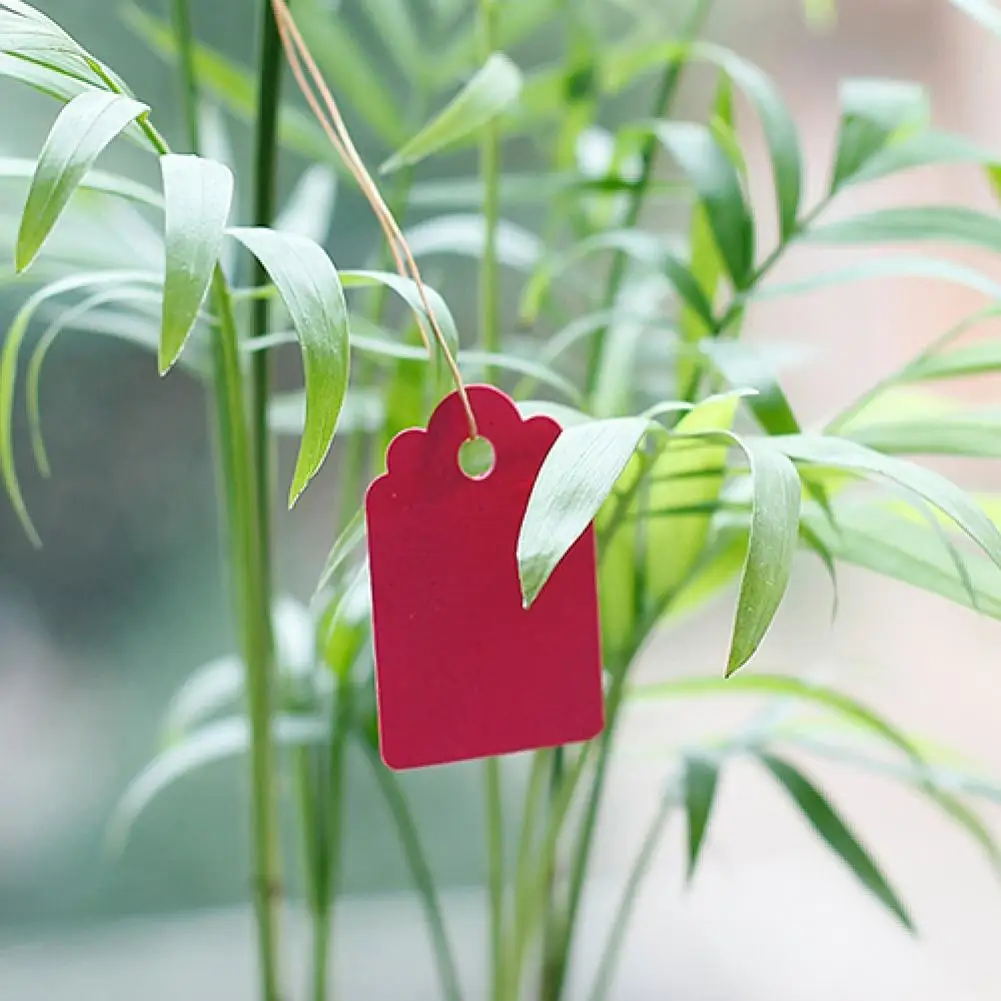 Garden Labels 100 Pcs Plastic Waterproof Plant Name Tags Strip Line Gardening Labels Signs Mark Tools Flower Shop Garden Accessories