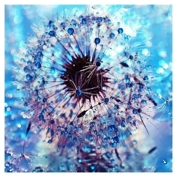 

Diamond Drawing Kits Simple Dandelion Landscape Rhinestone Pasted Art Craft for Modern Living Room Bedroom Decor