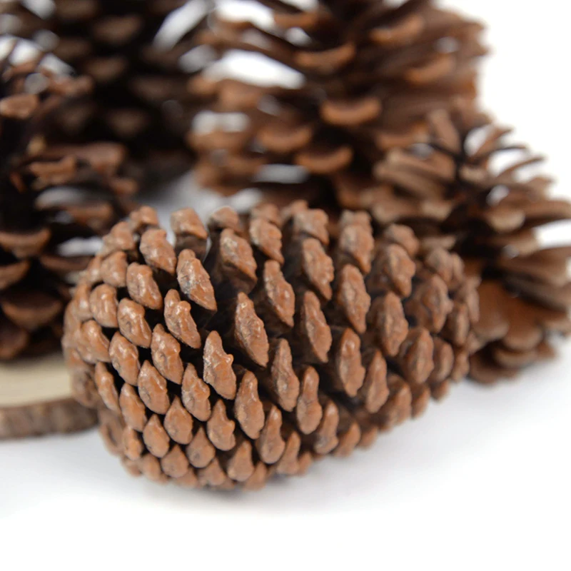 1-10pcs Natural Pine Nuts Fruit Dried Artificial Flower Pineapple Cones for Christmas DIY Garland Wreath Wedding Home Decoration