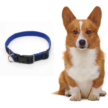 

New 1/1.5/2/2.5cm Cowboy Pet Dog Collar Jean Dog Collars Wear for Small medium and large Dogs size Golden Retriever Poodle Color