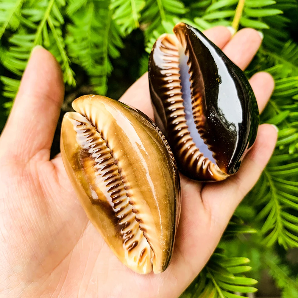 Haf65df813e054ae29928cfa30e4ad1793.jpg?width=1001&height=1001&hash=2002