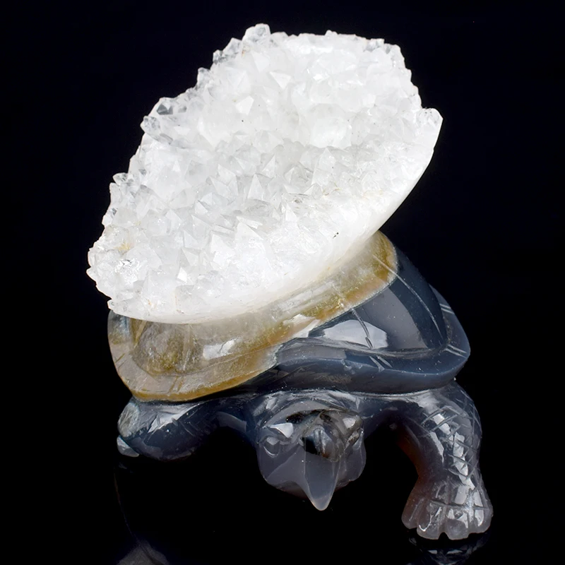 

5 Inch Turtle Skull Sculpture Decoration From Natural Stone Healing Realistic Crystal Tortoise Home Decor Art Collection