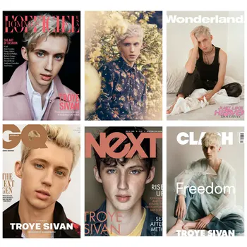 

Sticker Hot Star The Boyfriend Tag Troye Sivan Popular YouTuber Model Singer Actor Custom DIY Painted Gift