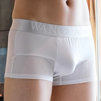 

Sexy Men Underwear Boxers Men's Boxers Underwear Cueca Male Panties Mesh Breathable Soft Underpants Lingeries Slip Hombre