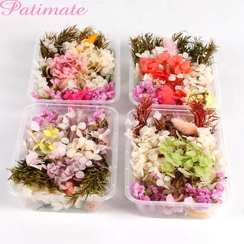 

1Box Mix Style Dried Flower Decoration DIY Natural Floral Garden Home Decor Artificial Flower Wedding Birthday Craft Accessories