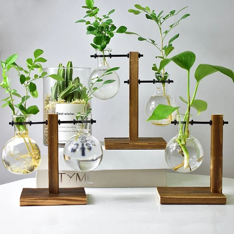 

Table Desk Bulb Glass Hydroponic Vase Flower Plant Pot with Wooden Tray Office Decor UD88