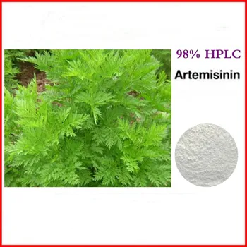 

Artemisia annua extract 100g Dihydroartemisinin, antibacterial, enhance immunity, clear heat Artemisinin 98%