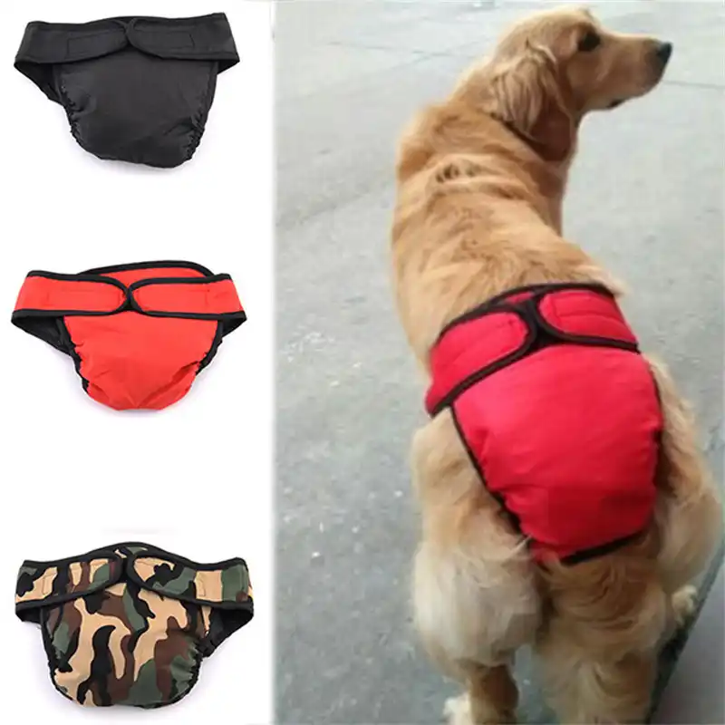 female dog panties