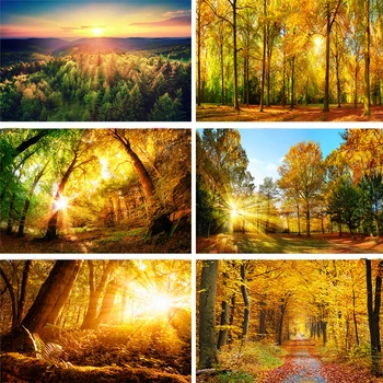 

Nitree Sunrise Yellow Trees Foliage Fallen Leaves Autumn Forest Sunlight Backdrop Photo Studio Photography Background Vinyl