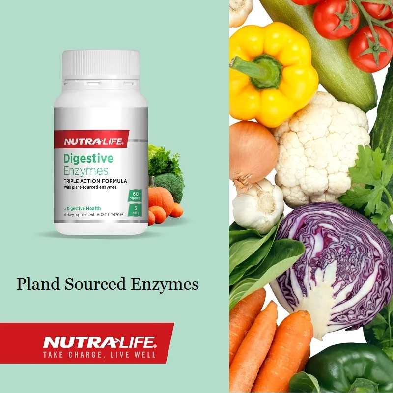 Vida de Origem Newzealand Nutra Vegetal Enzimas Digestivas 60 Tampas Saudável Digestão Alívio Indigestão Bloating Gás Solução Plenitude 7 digestivas 60 tampas saudável digestão alívio indigestão