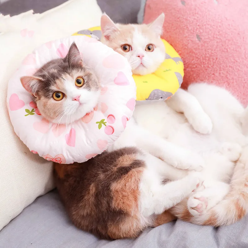 Товары для домашних животных кошка игрушка анти-жевательное кольцо защитный