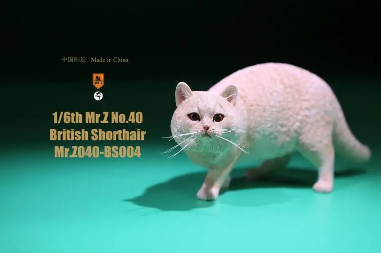 004 1/6 Resin Animal Model Mr.Z Animal Model 1/6 Scale British Shorthair Cat MRZ040-BS For 12" Action figure soldier - Цвет: 004