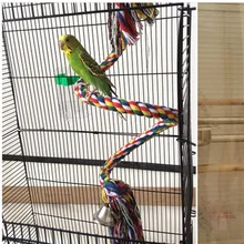 real birds online shopping