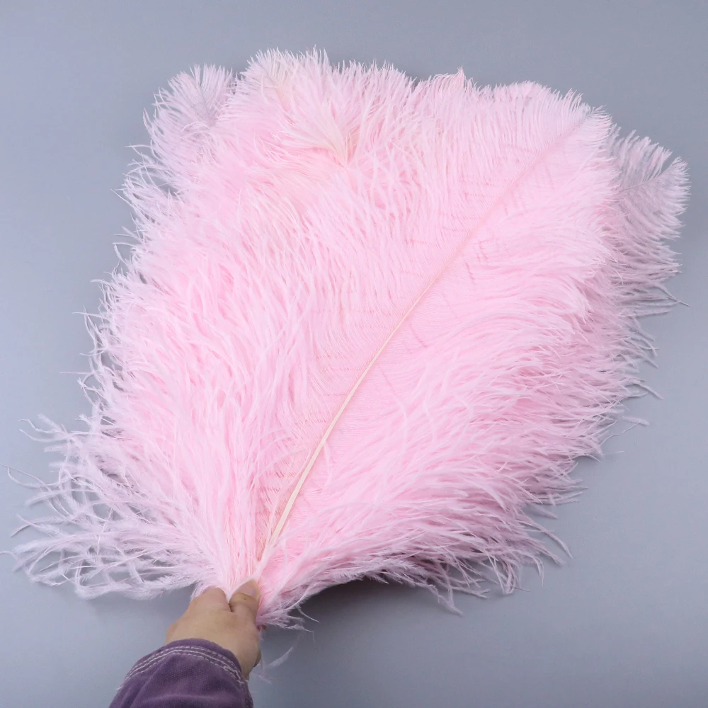 TS0145024 45-50cm ostrich feathers 4