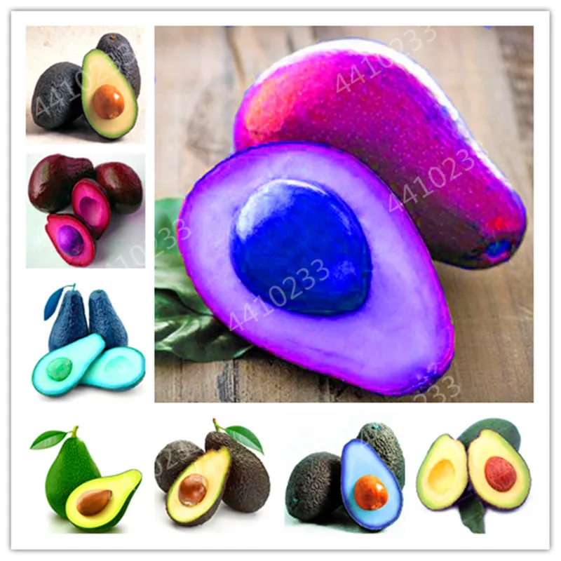 

Sale ! 5 Pcs Bonsai Avocado Delicious Sweet Fruit Tree Easy To Grow For Home Garden Organic Vegetable Pot Plant Gift For Kids