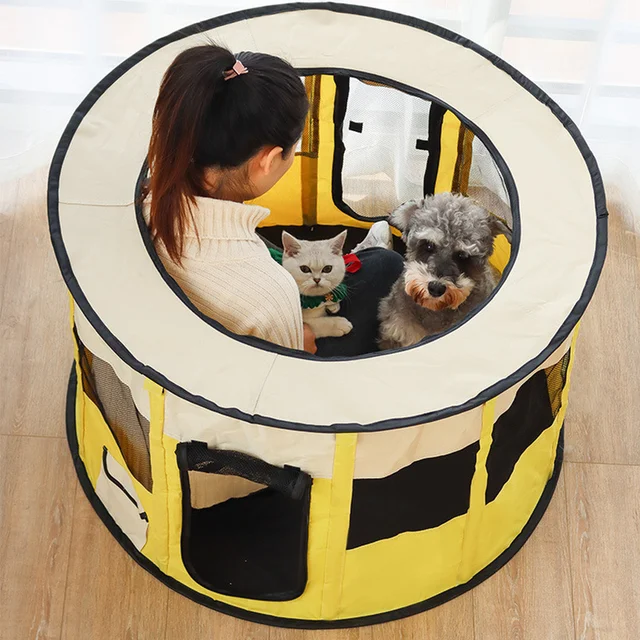 A Comfortable and Practical Haven for Your Furry Friends