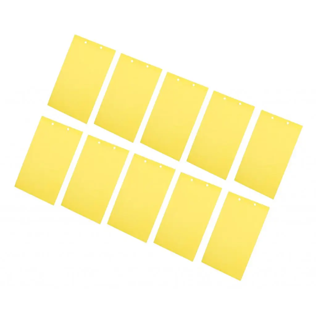 10PCS Sticky Trap Fruit Fly and Fungus Gnat Trap Killer Indoor and Outdoor, Protect Plants, Non-Toxic and Odorless