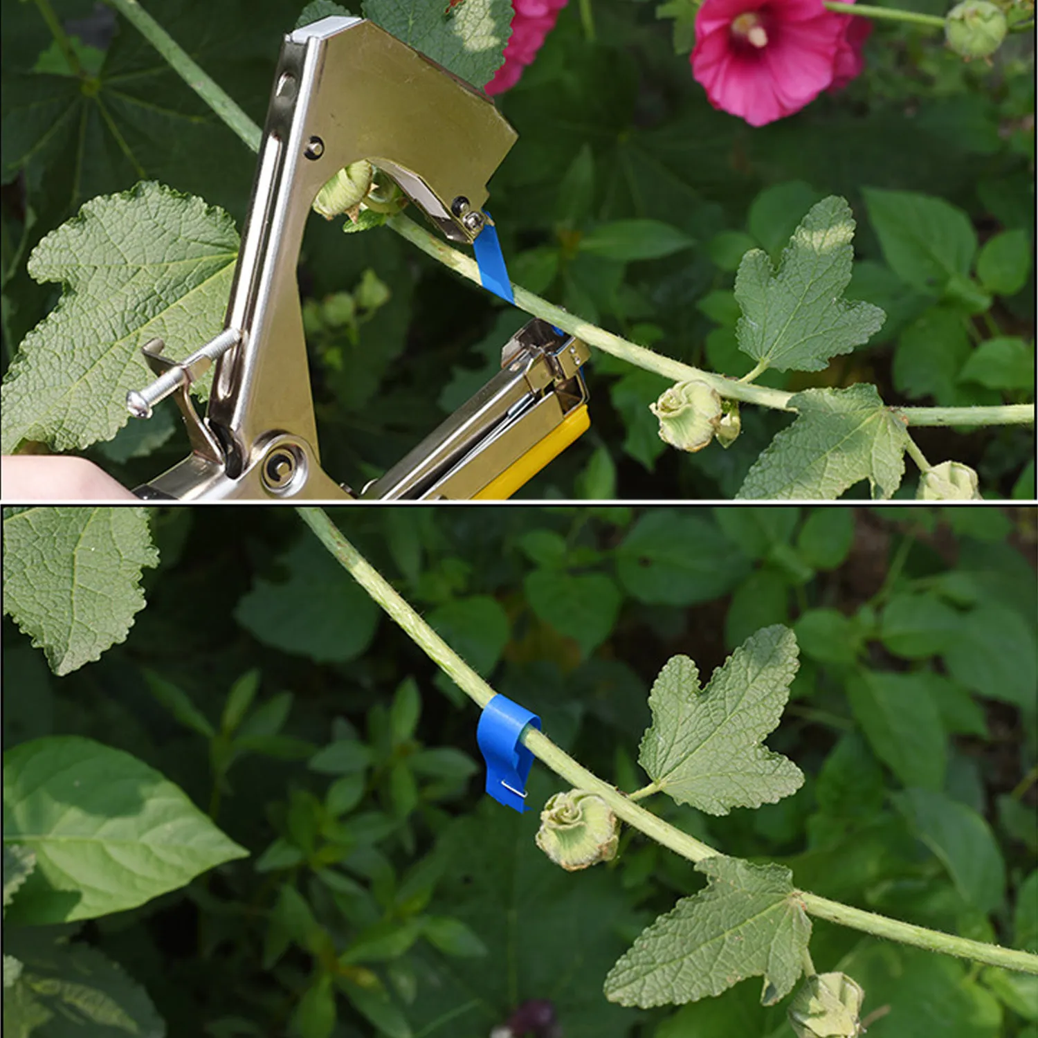 20pcs Plant Branch Tie Ribbon Tape Hand Tying Binding Tapetools Branch Tools for Garden Plant Tying Machine Accessories 98-Feet plant ties