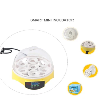 

Eggs Chicken Bird Eggs Incubator Automatic Intelligent Quail Parrot Brooder Household Animal Chicken egg incubator Accessories