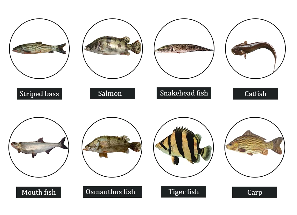 黄色小虾软饵_03