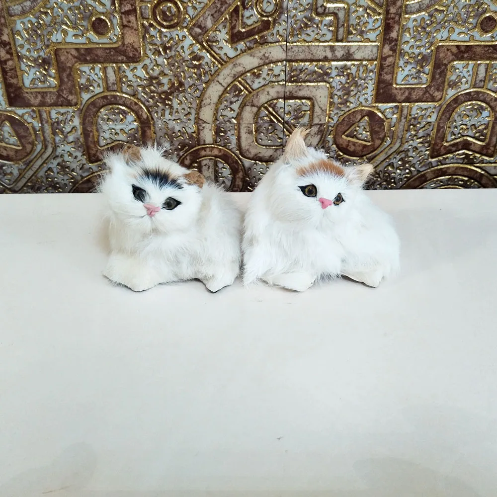 IMG20191129132526