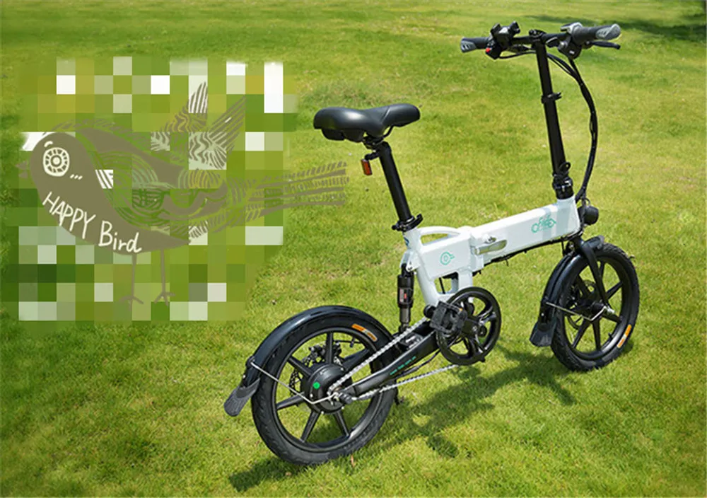 16 Inch Fiido D2 Adult Electric Bicycle 2 Wheels Electric Bicycle Mini 250W Folding Portable Electric Bike (11)