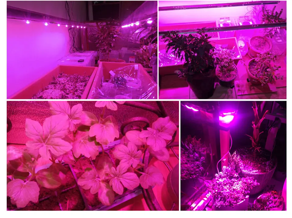 一线植物灯详情atk_10