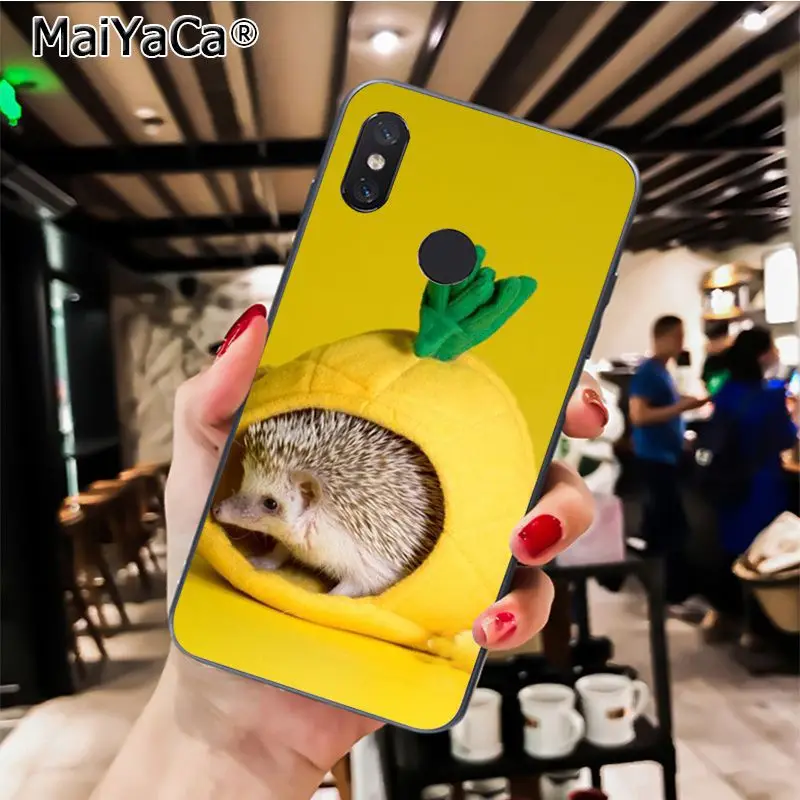 MaiYaCa Animal cute cartoon hedgehog painting Phone Case for Xiaomi Redmi8 4X 6A Redmi Go Redmi5 5Plus Note7 8ProA1 A2Lite