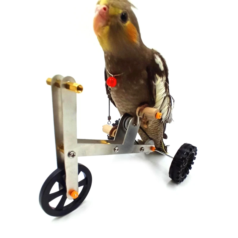 

Funny Parrot Mini Metal Bike Toy Birds Training Plaything Educational Interactive Props for Parakeet Cockatiel Conure Lovebird