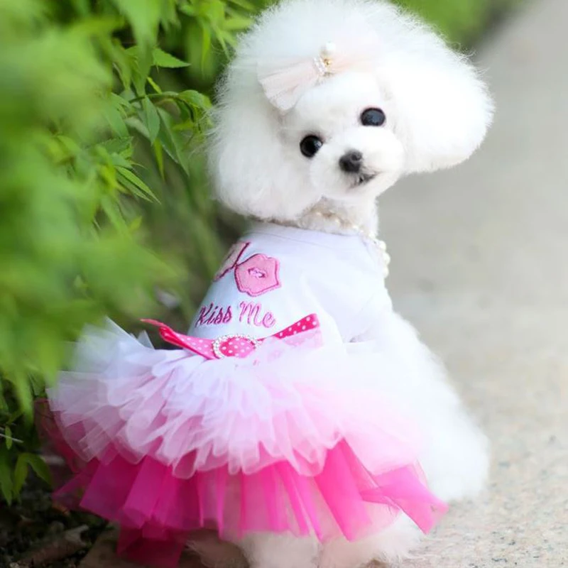 Dog Clothes for Small Dogs Lace Clothes Dress Sweety Princess Dress Small Dog All Seasons Puppy Lace Princess dress