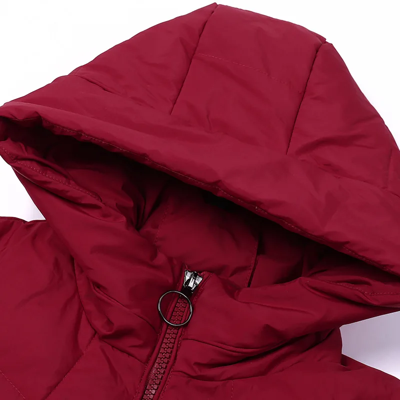 

2019 Winter Korean-style New Style Solid Color Elegant Generous with Zipper Short Hooded Non Removable Cotton Overcoat