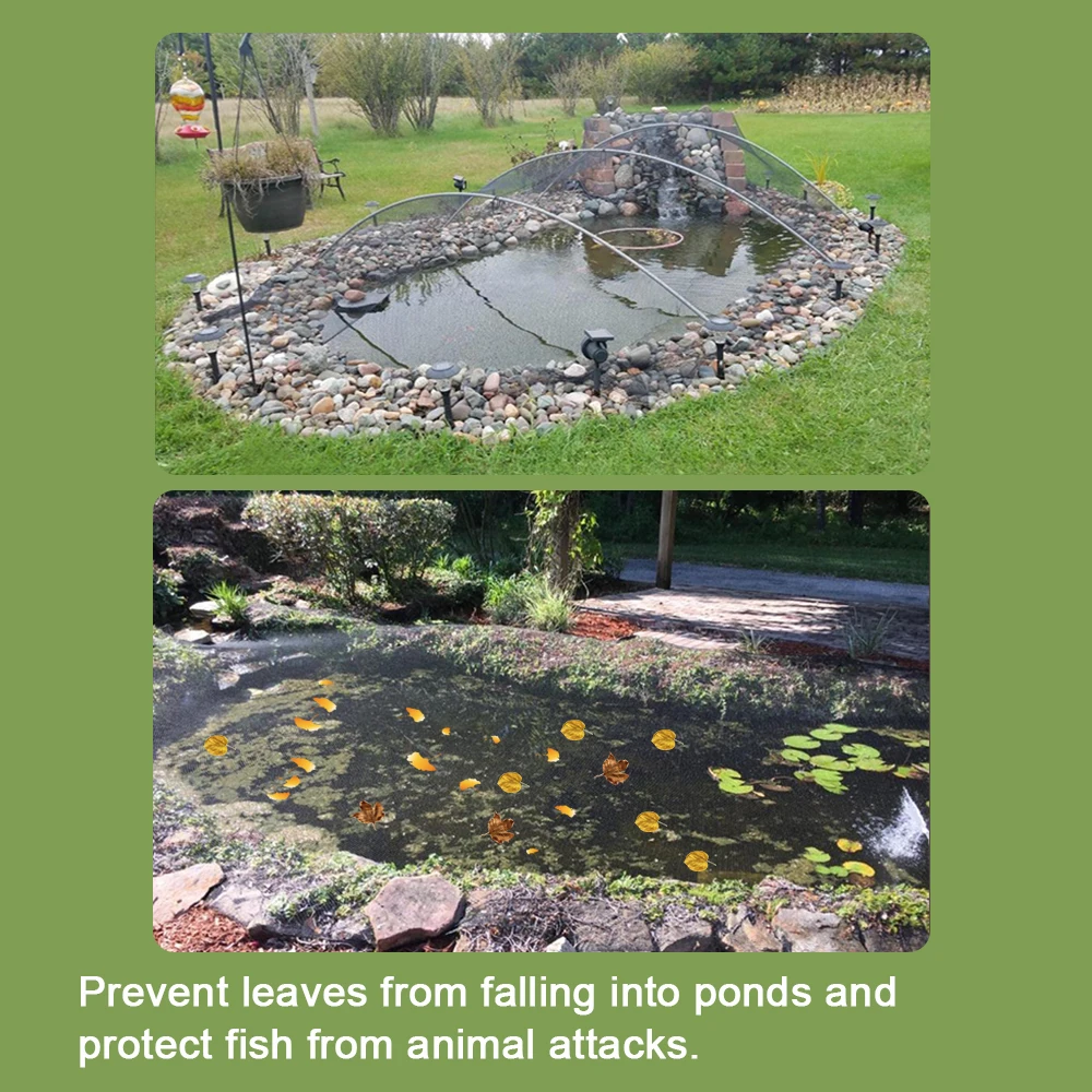 4_5348045023267352476