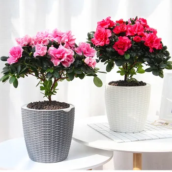 

Plant Pot Cover Indoor Plastic Rattan Flower Cover Round Modern Decor Planter Durable B88