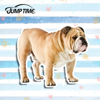 

Jump Time 13cm x 10.8cm Pet Dog Car Stickers French Bulldog Vinyl Car Wrap Waterproof JDM Laptop Decals Sticker 3D Car Styling