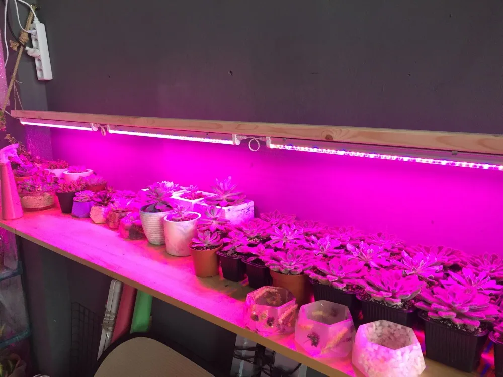 UTB8MqTzAVfFXKJk43Otq6xIPFXat