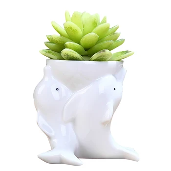 

Ceramic Bonsai Flower Pot Office Cartoon Home Plants Container Planter Crafts Desktop Succulents Garden Decor Small Dolphin