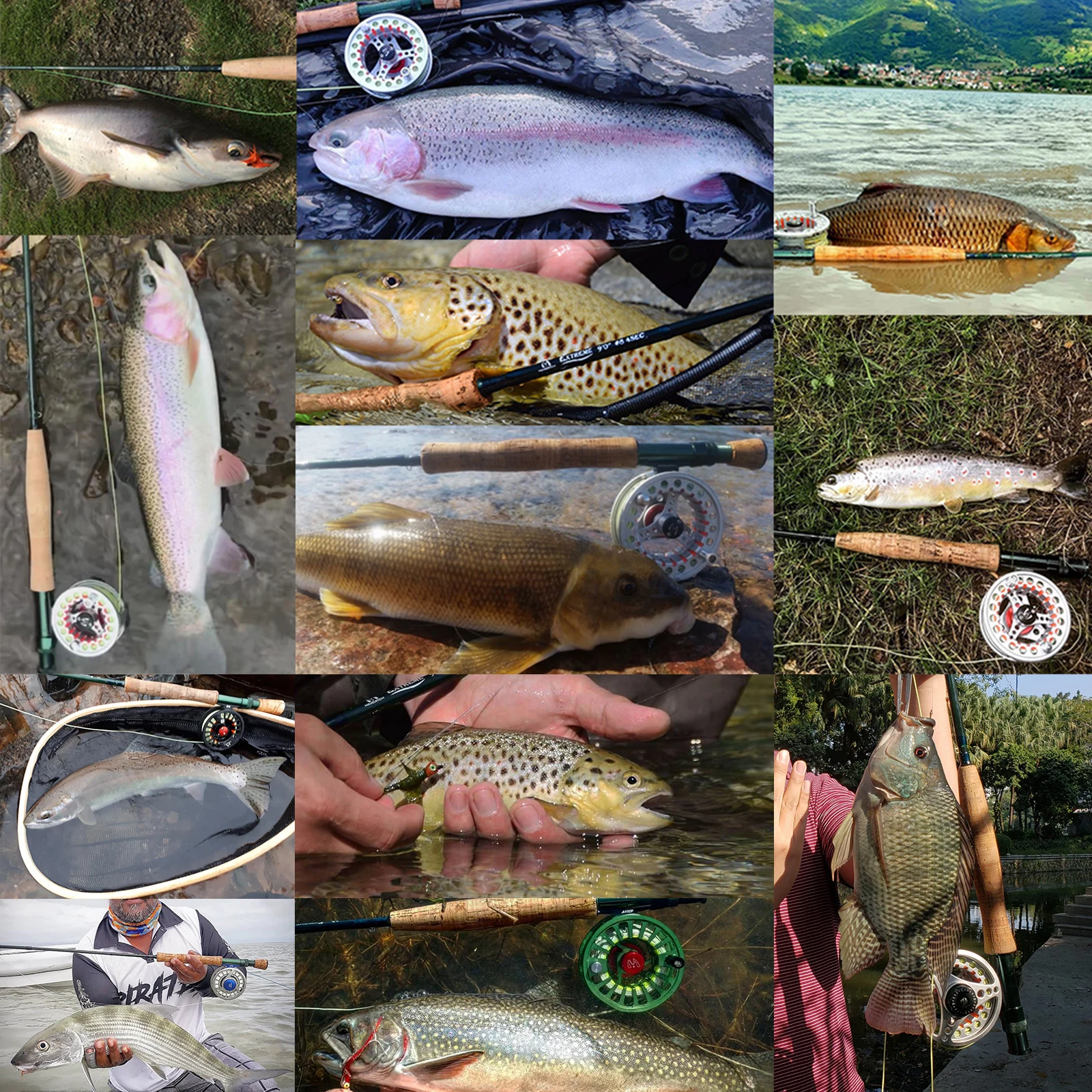 Maximumcatch 3-8WT Fly Fishing Rod And Reel Combo Set 8'6''/9' Medium-fast Fly Rod Pre-spooled Fly Reel & Line &Triangle Tube 6